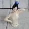 HALF DOLL Испанка hd-018/2