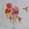 Купон Колибри и розовые цветы  tk-096/1