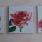 Набор для вышивания КЕС Триптих Розы  nv-001/8